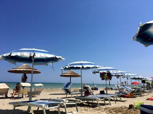 Nuovo Hotel Settibi 20M Dalla Spiaggia Giulianova Exterior photo